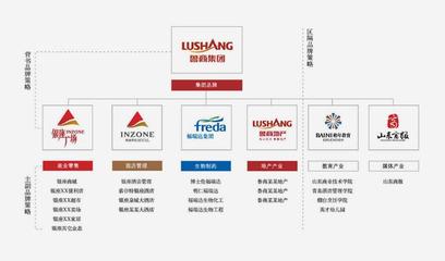 品牌策劃與VI設計的協同共生 構建企業形象與推廣的堅實支柱